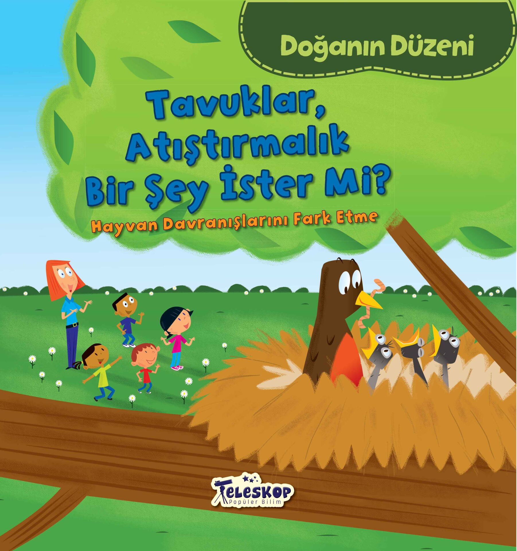 Teleskop Tavuklar Atıştırmalık Bir Şey İster Mi  Doğanın Düzeni