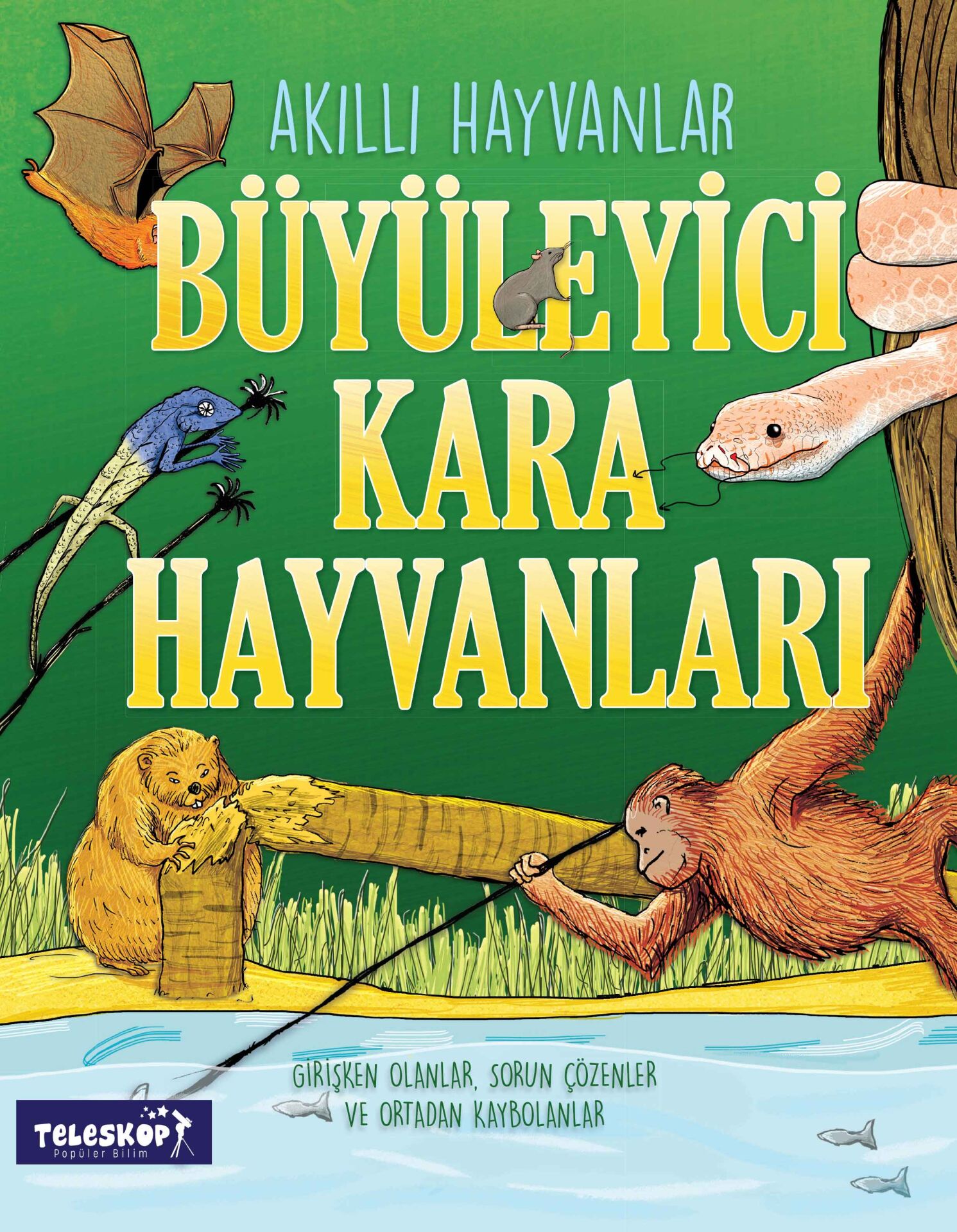 Teleskop Akıllı Hayvanlar Büyüleyici Kara Hayvanları