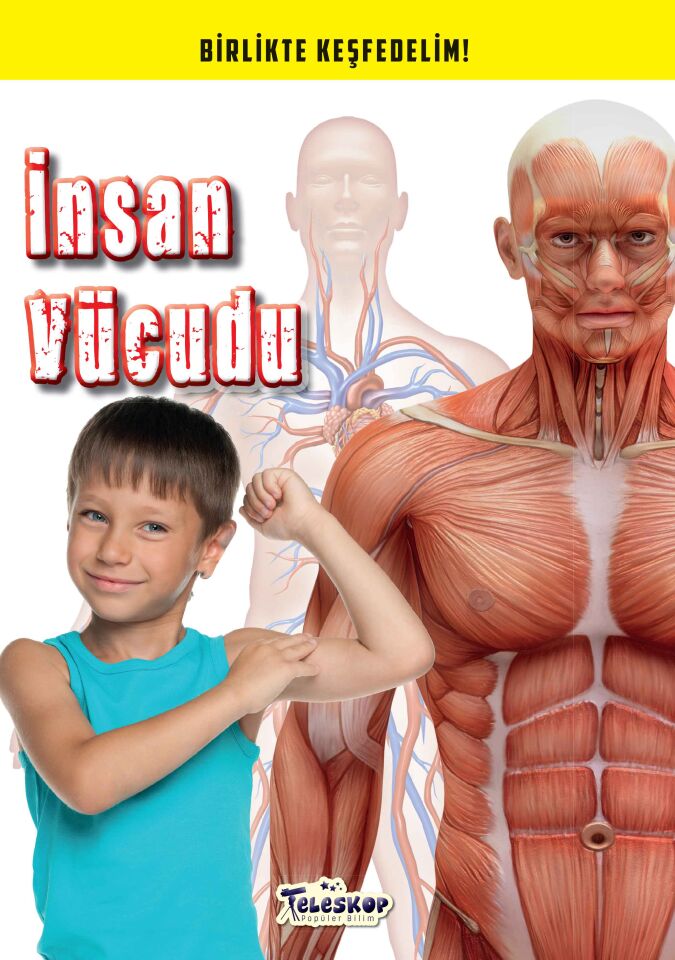 İnsan Vücudu