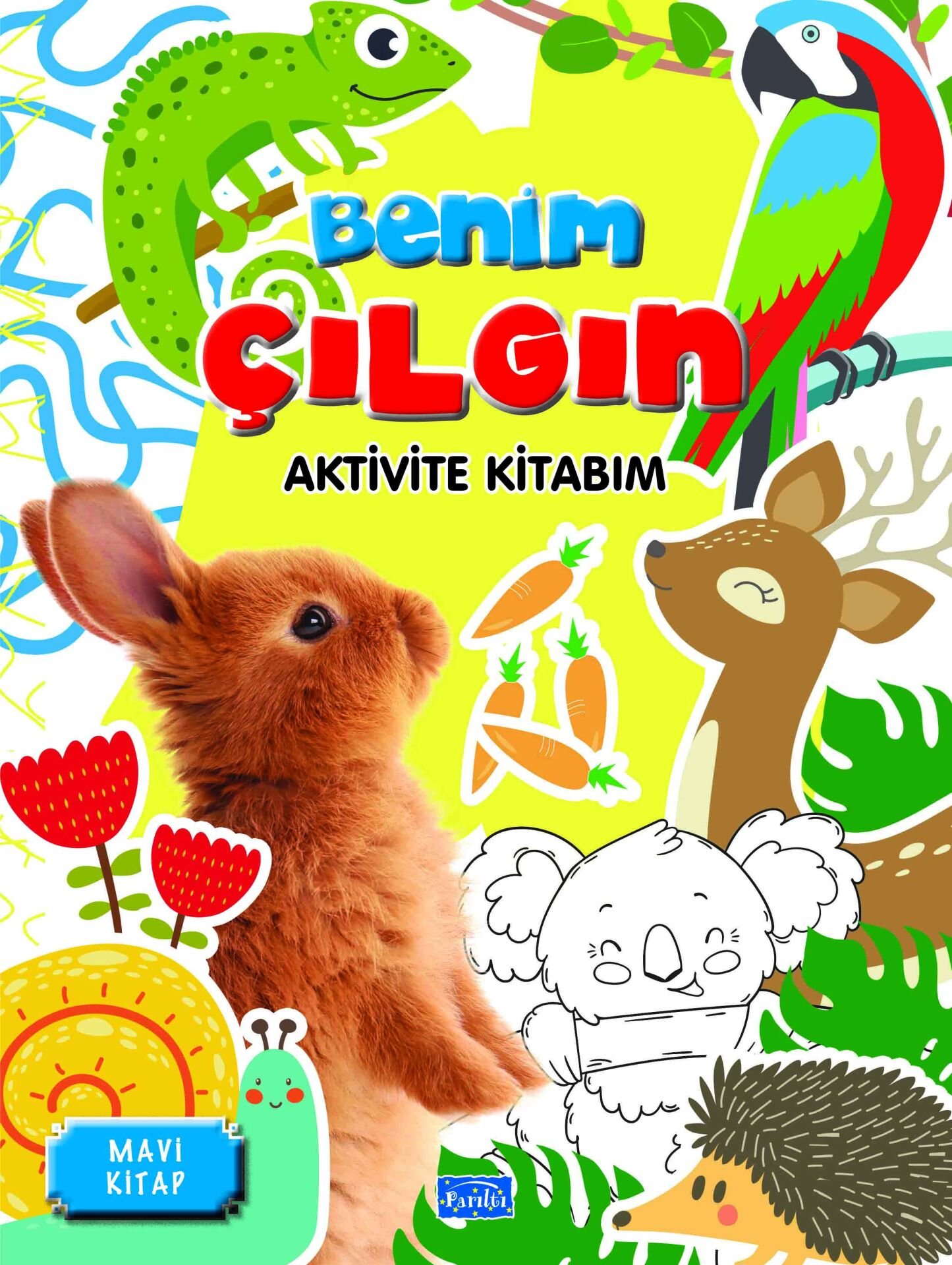 Benim Çılgın Aktivite Kitabım-Mavi Kitap