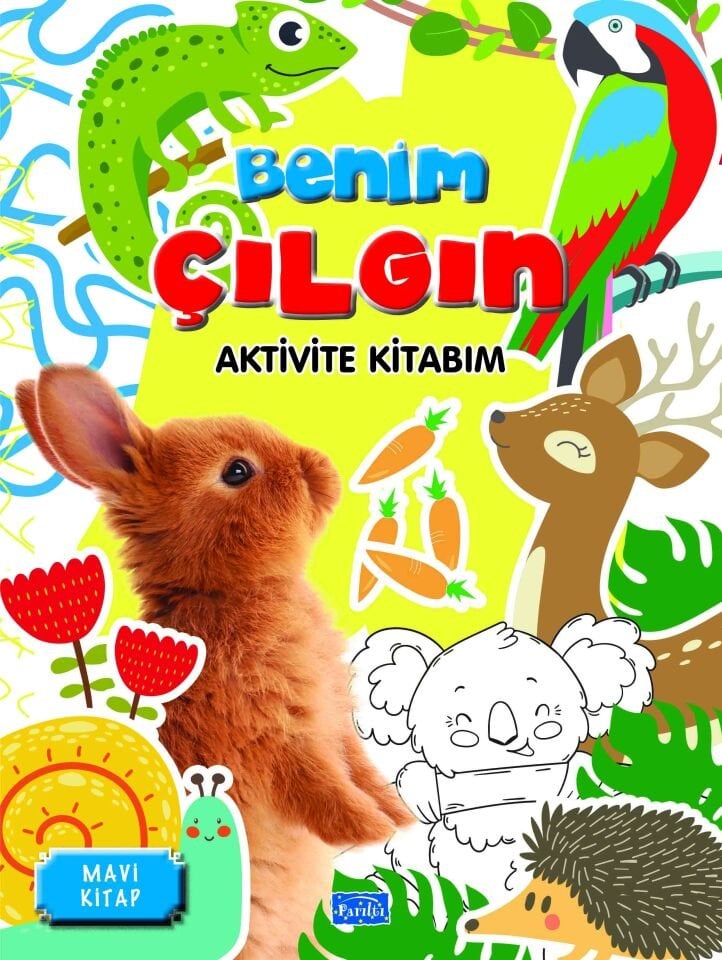 Benim Çılgın Aktivite Kitabım-Mavi Kitap