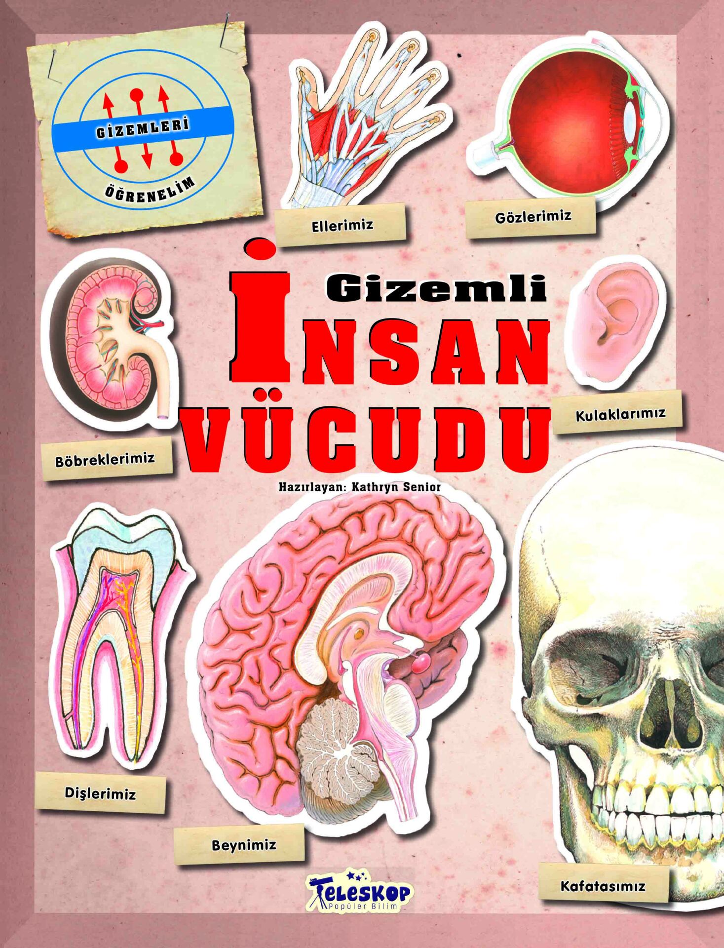 Teleskop Gizemleri Öğrenelim Gizemli İnsan Vücudu