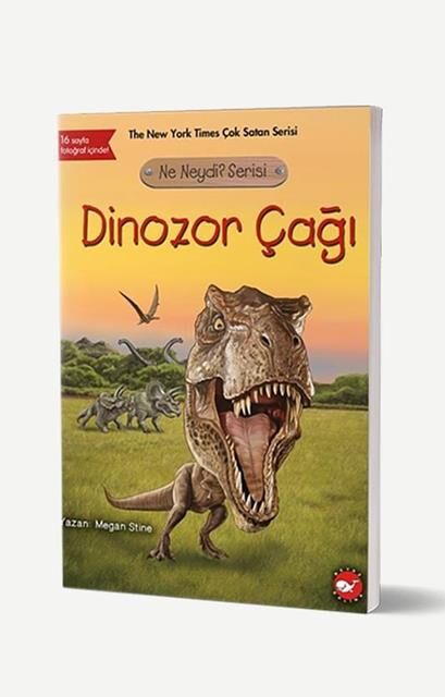 Dinozor Çağı