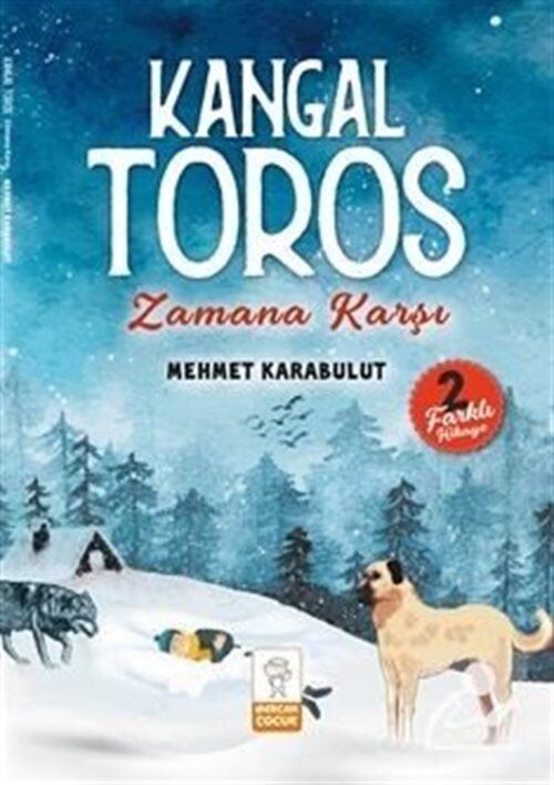 Mercan Çocuk  Kangal Toros  Zamana Karşı