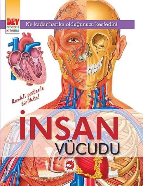 İnsan Vücudu - Dev Posterli (Ciltli)