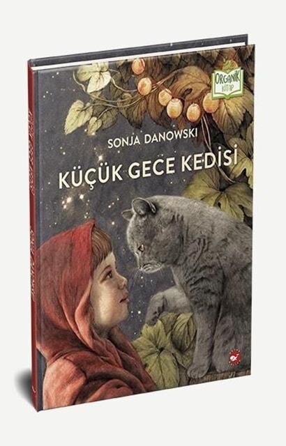 Küçük Gece Kedisi